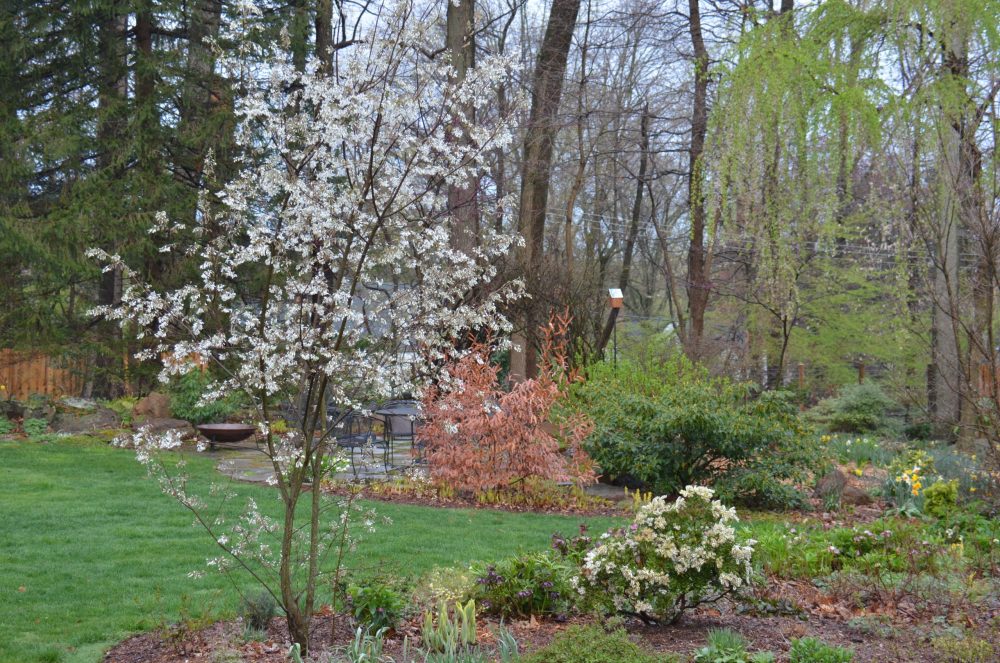 Lasting Landscapes by Carol