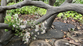 faux bois structure with white aster flowers and a base made of rounds of wood