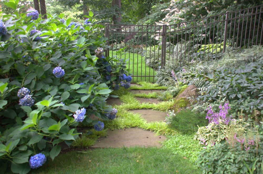 Lasting Landscapes by Carol