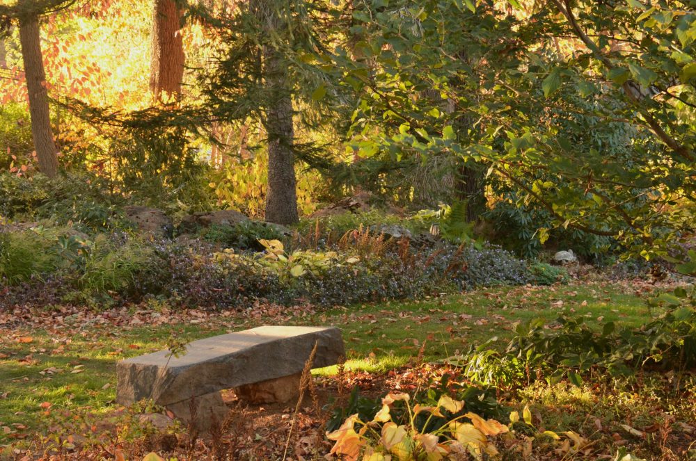 Lasting Landscapes by Carol