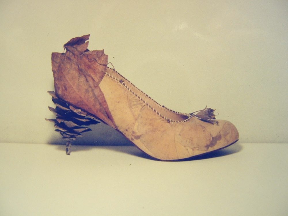 Pair of shoes made from natural materials - gingko in this case