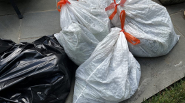 trash bags filled with plants and soil impacted by southern blight