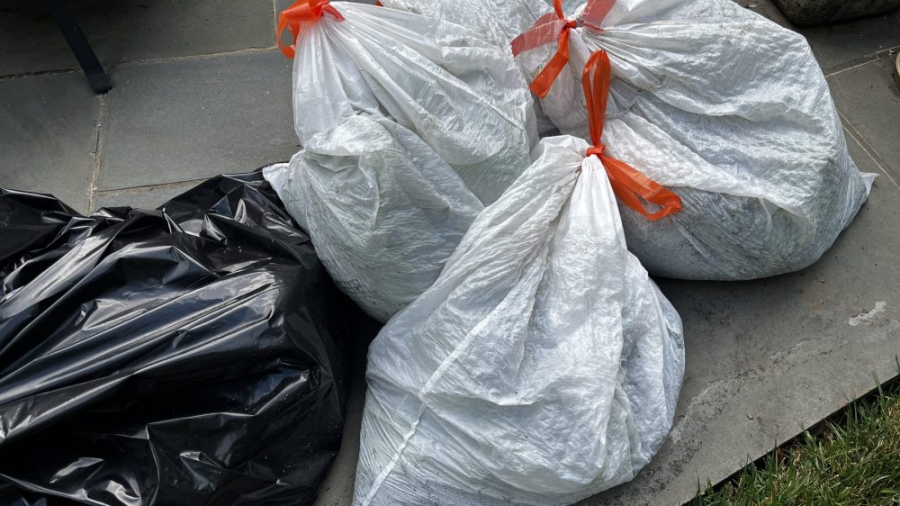 trash bags filled with plants and soil impacted by southern blight