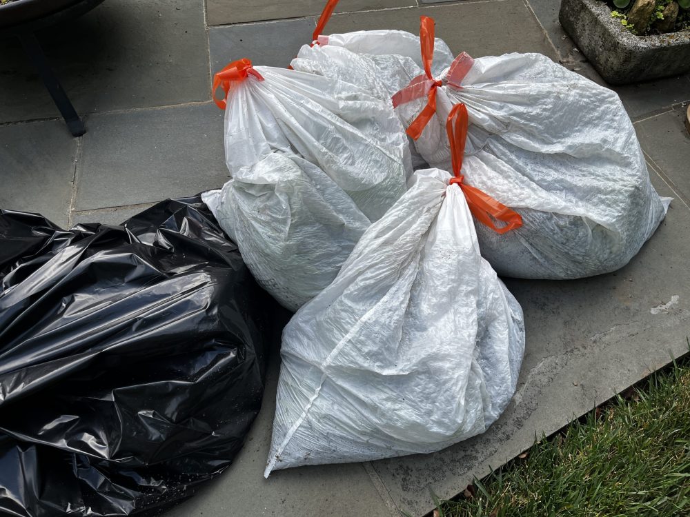 trash bags filled with plants and soil impacted by southern blight