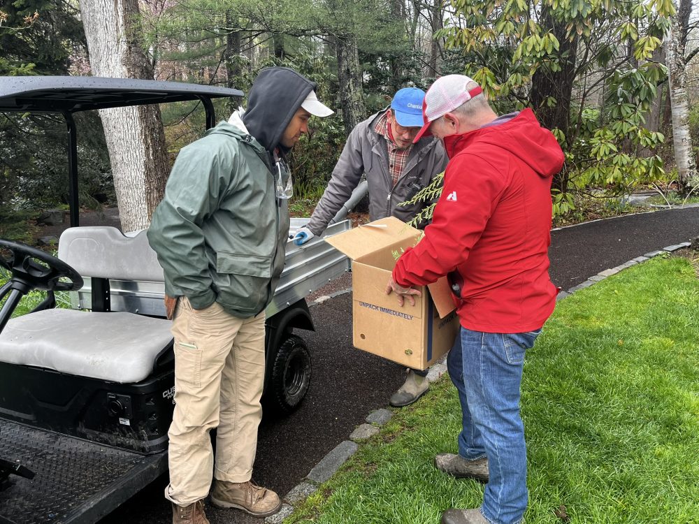 Man showing workers the harvested materials in a box