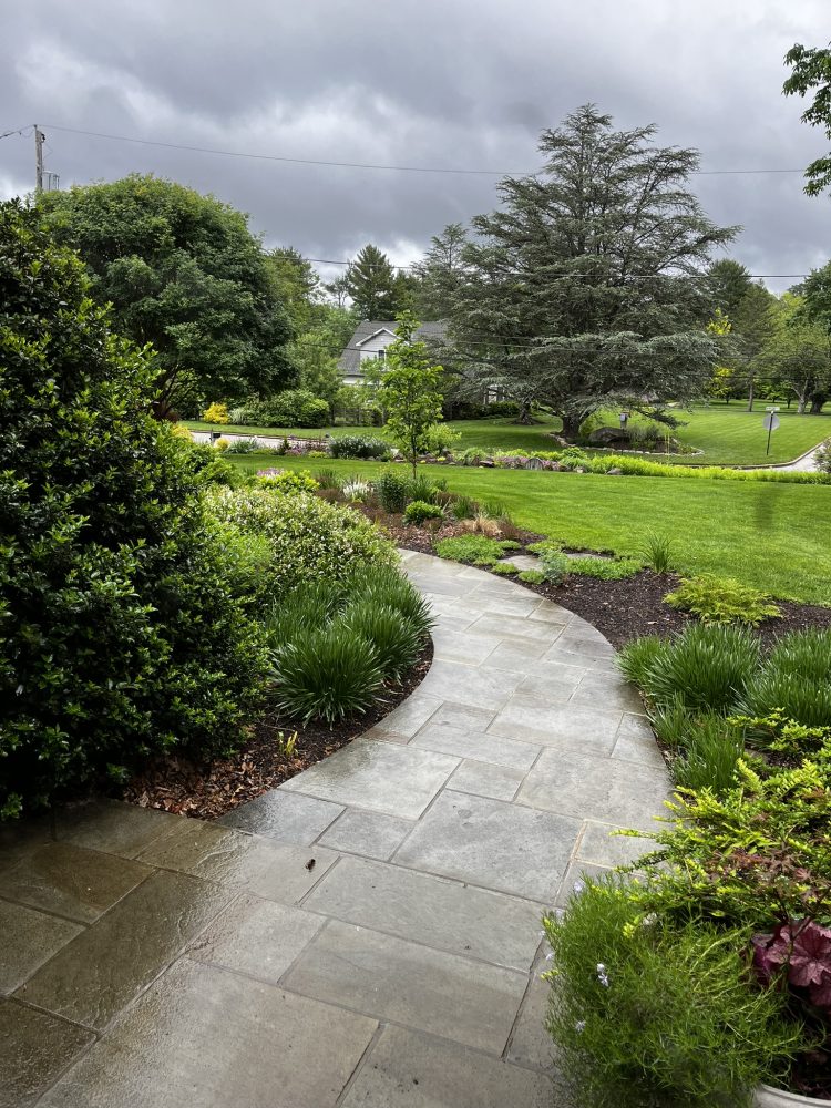 Lasting Landscapes by Carol view from front door onto slate walkway