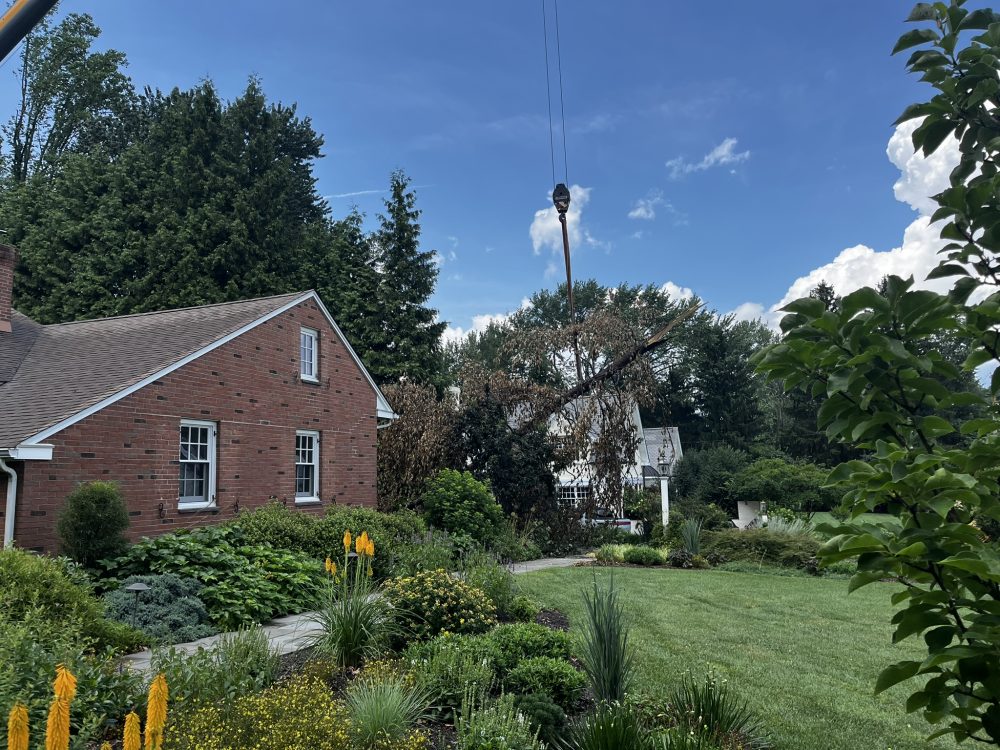 Lasting Landscapes by Carol branches being lowered in driveway by crane