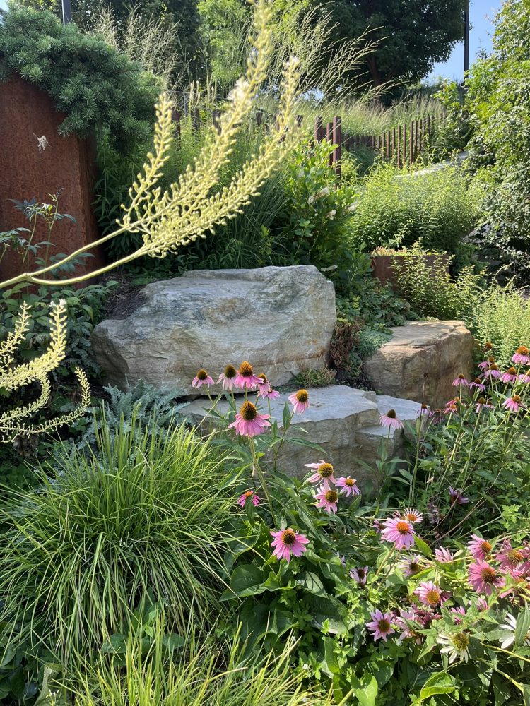 boulders and plantings at little island