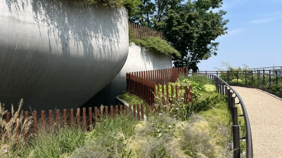 plantings under the tulip pilings little island