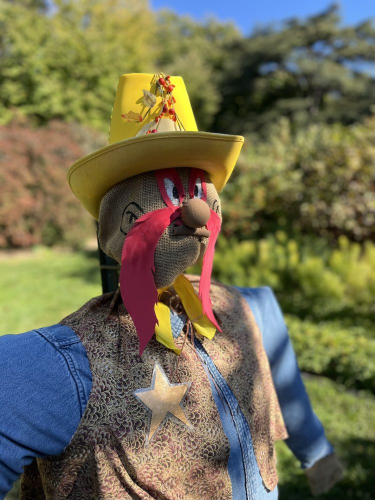 closeup of scarecrow dressed like a western cartoon