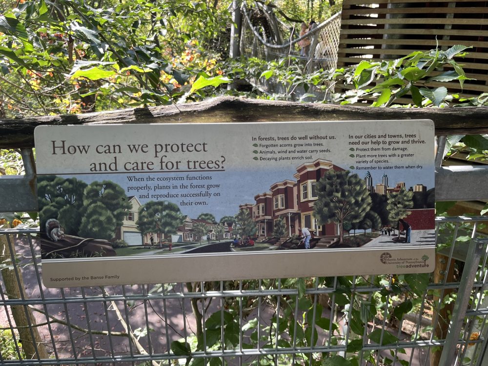 Sign at Morris arboretum explaining how we can protect trees