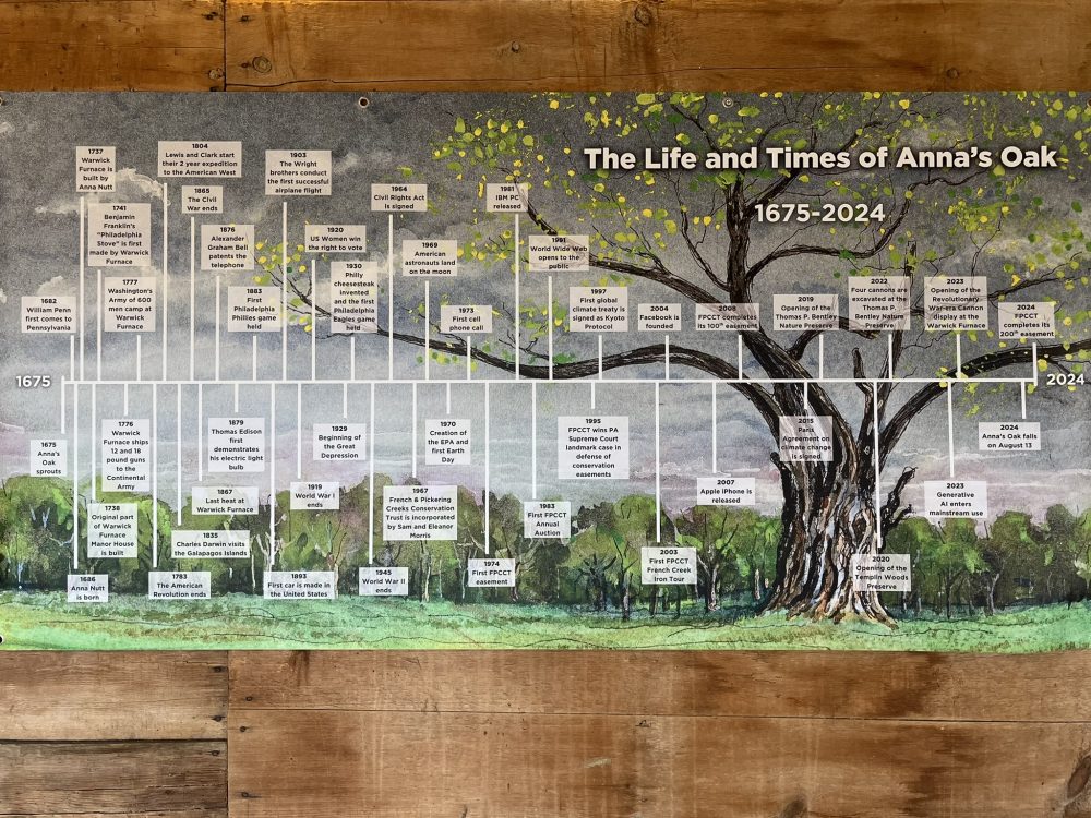timeline showing events that occurred over life of historic oak tree