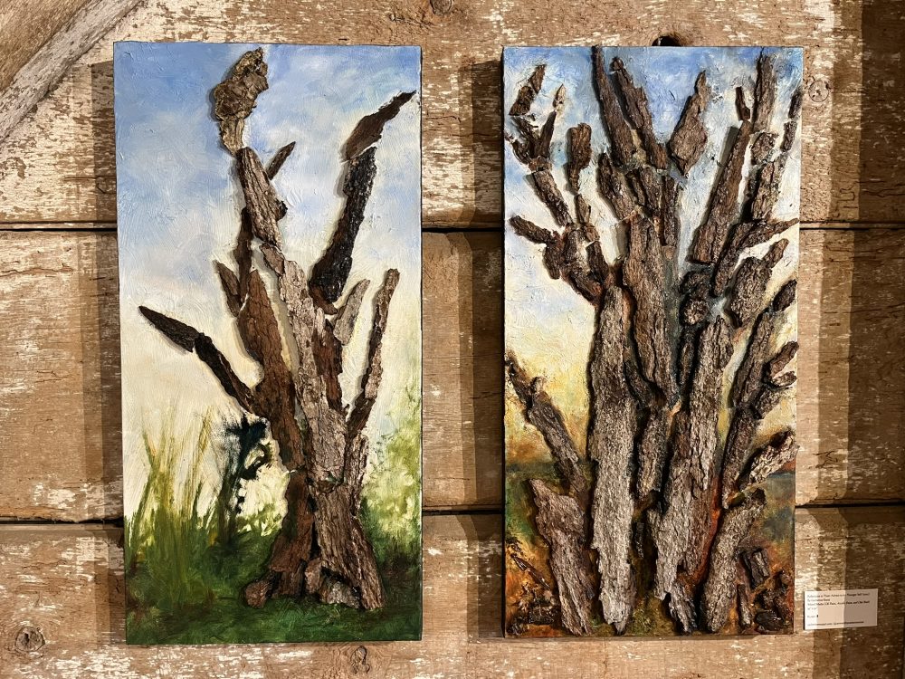 bark used to create images of tree