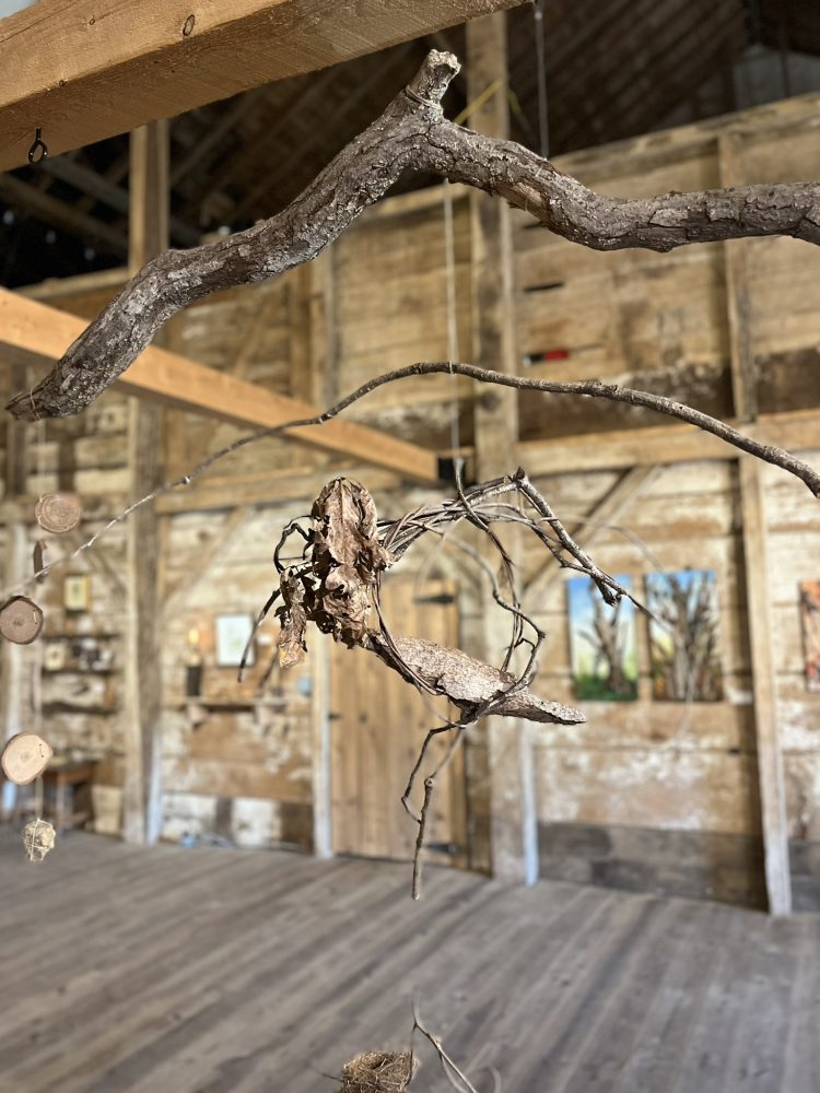 hanging branches in gallery
