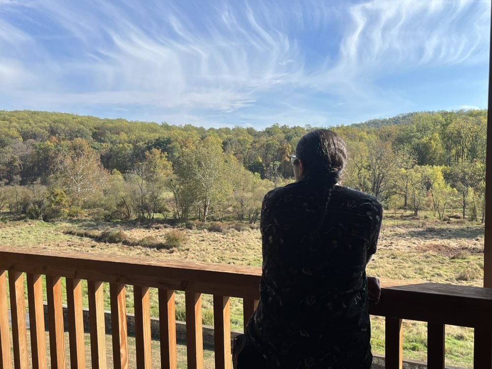 looking over field of trees in distance with railing in foreground