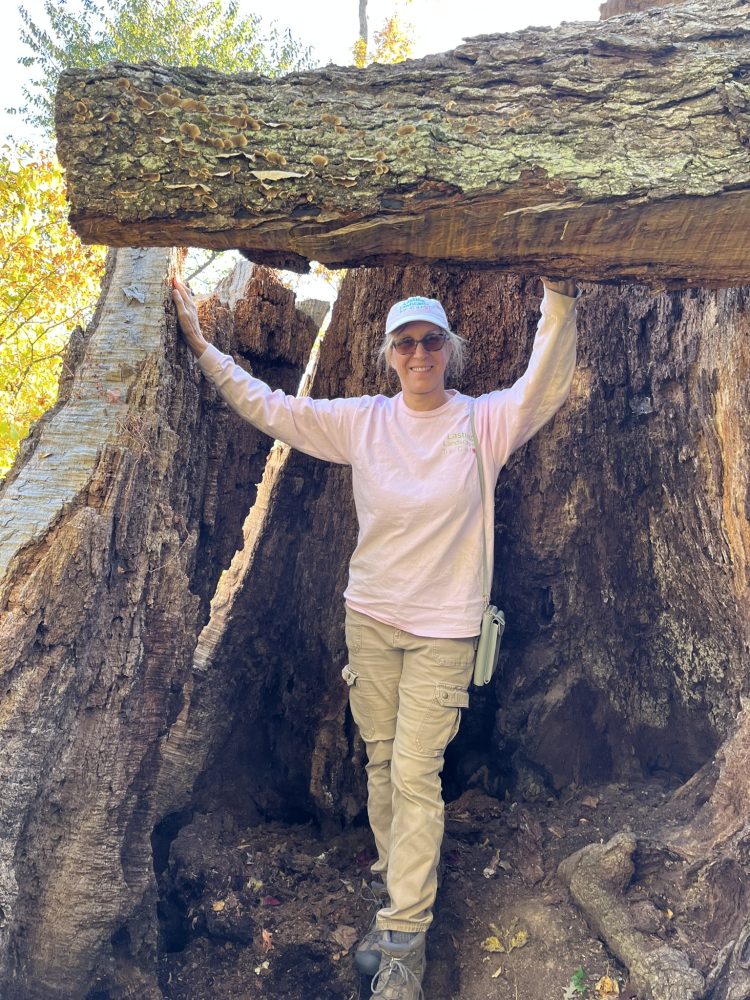 person in pink shirt standing inside fallen tree
