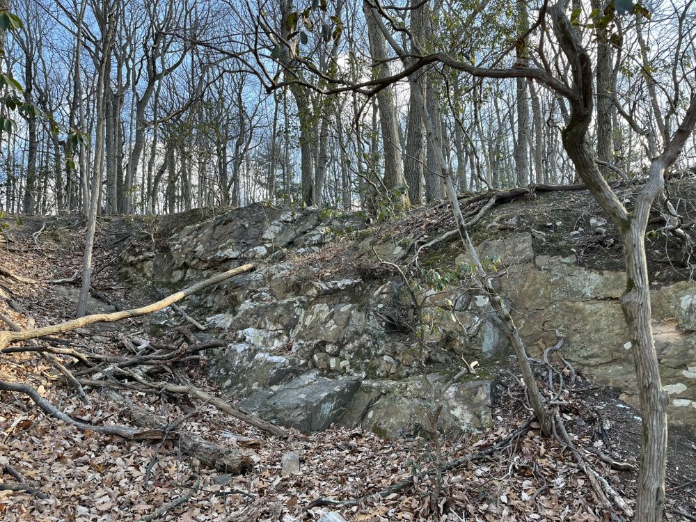 large boulder outcropping in a deciduous forest