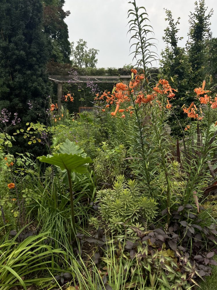 Lasting Landscapes by Carol
