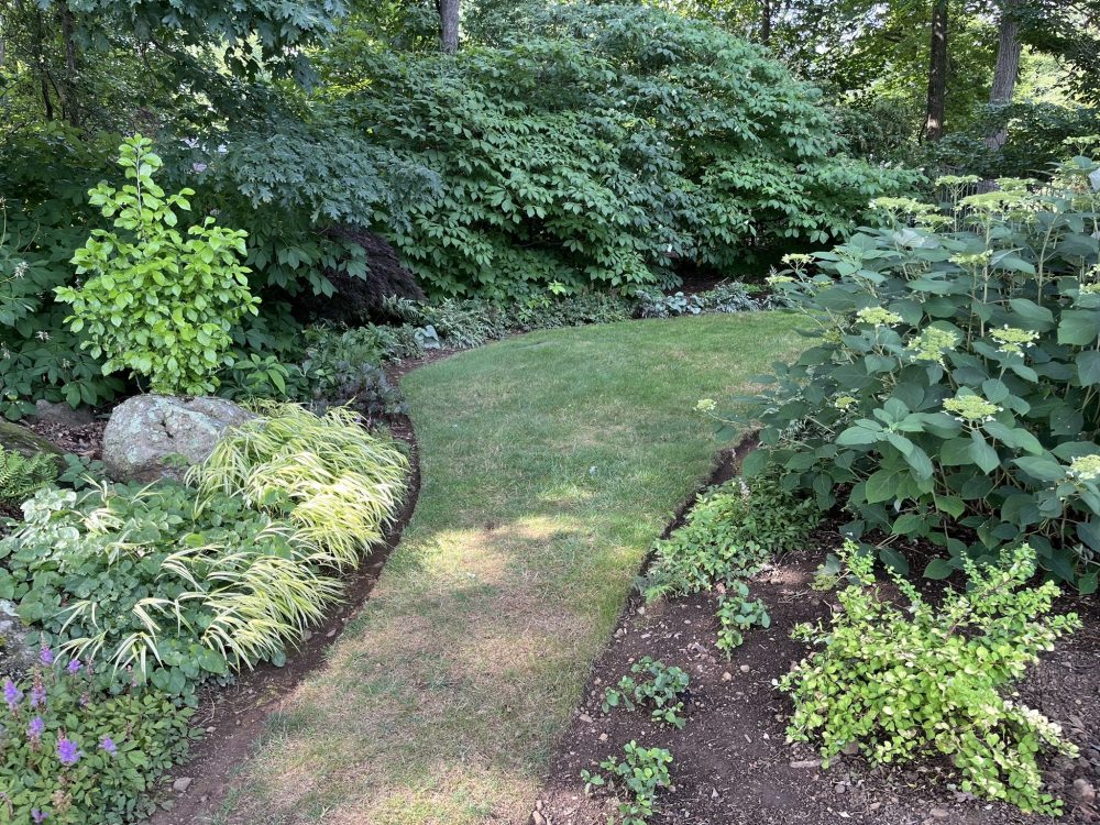 Lasting Landscapes by Carol