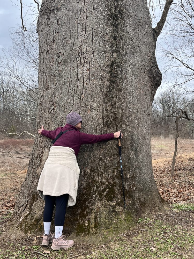 woman hugging tree