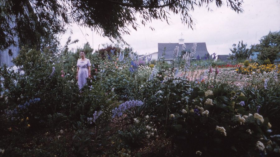 farm circle garden 6 59