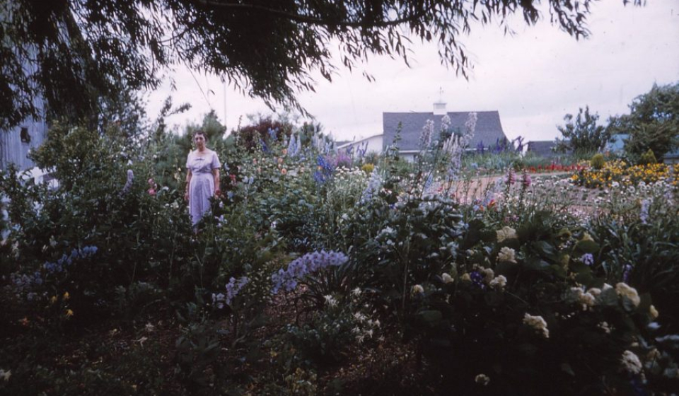 farm circle garden 6 59