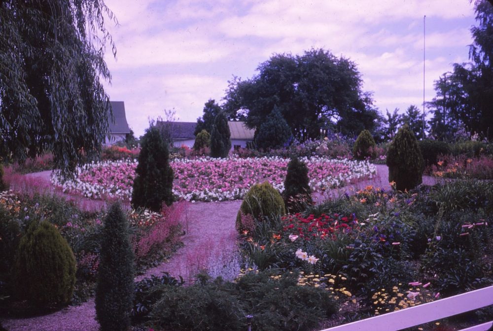 cirlce garden with pink petunias surrounded by white ones