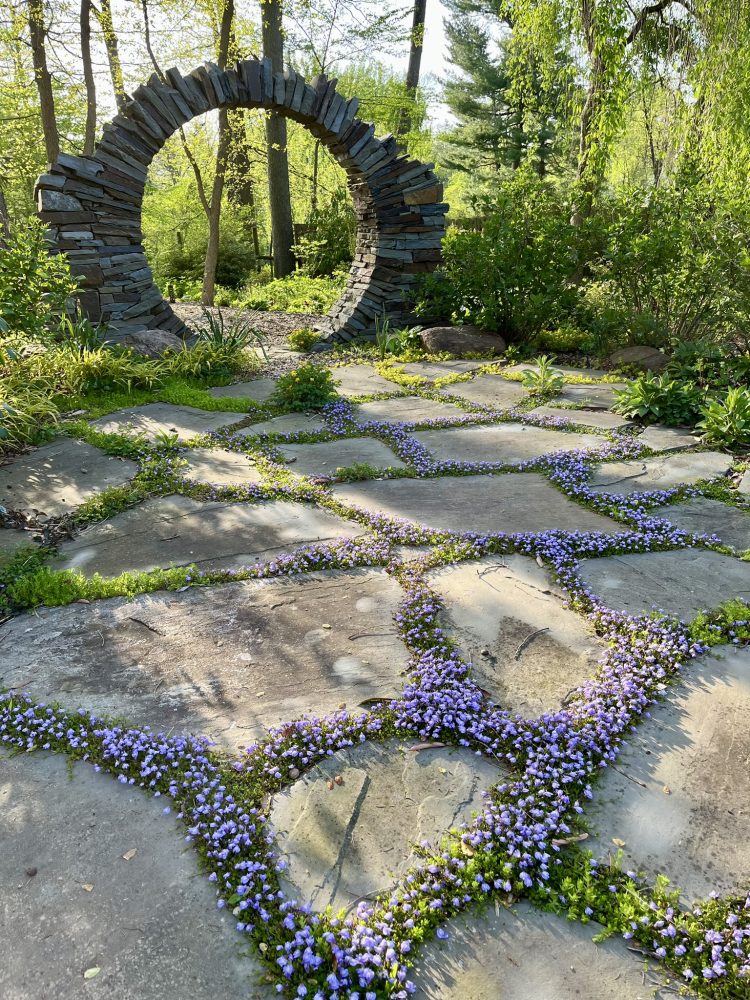 Lasting Landscapes by Carol