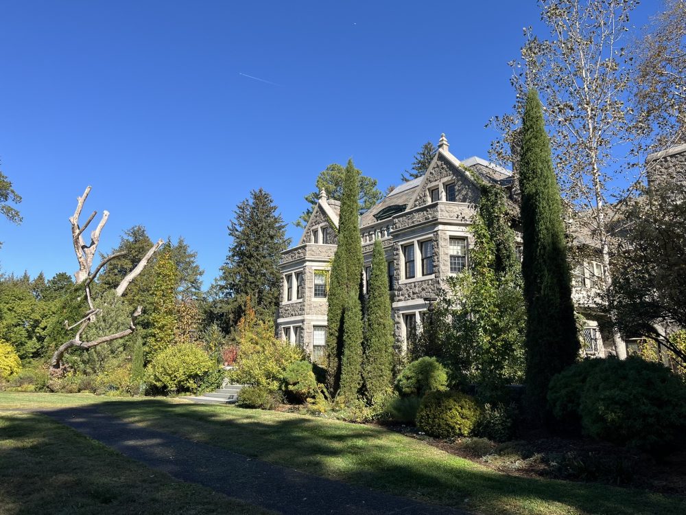 stone mansion with tall evergreens in front