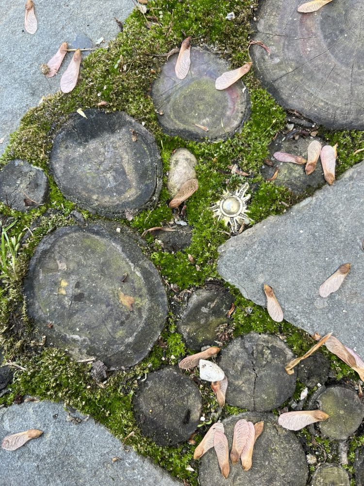 Lasting Landscapes by Carol