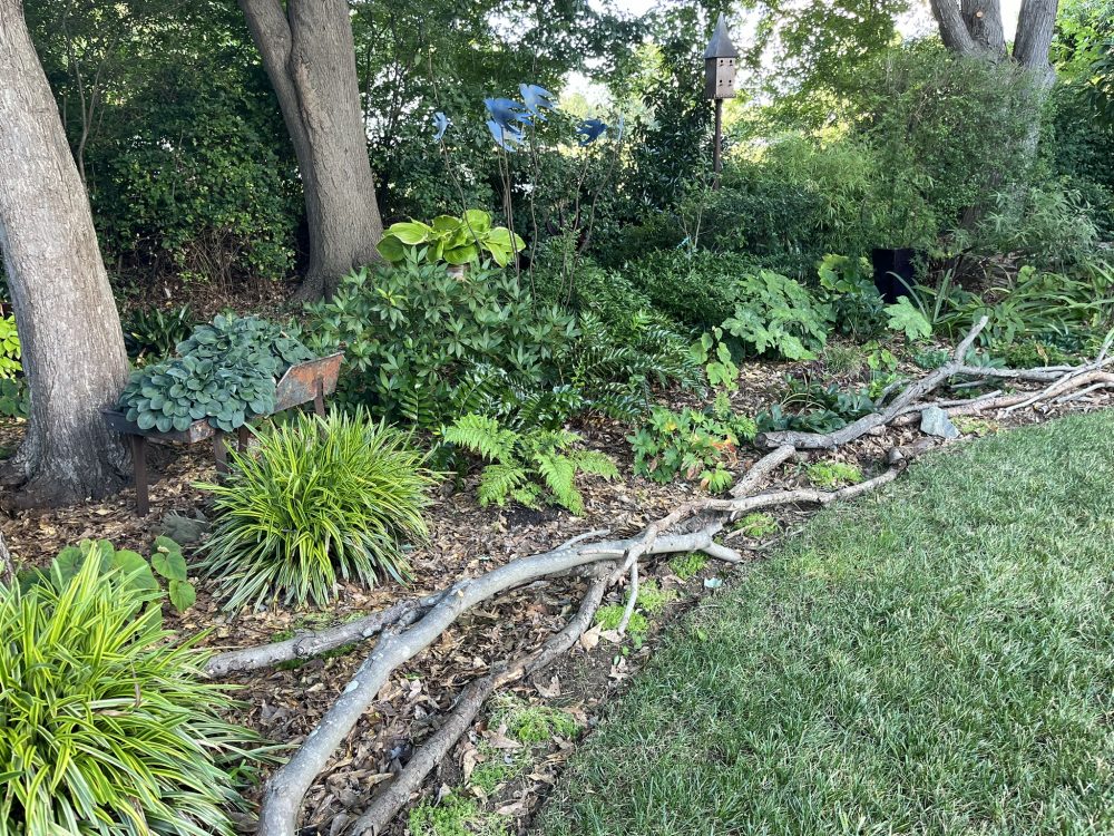 Lasting Landscapes by Carol