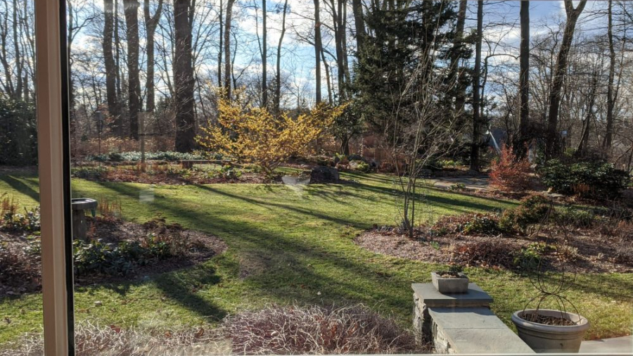Lasting Landscapes by Carol window pane with view into garden